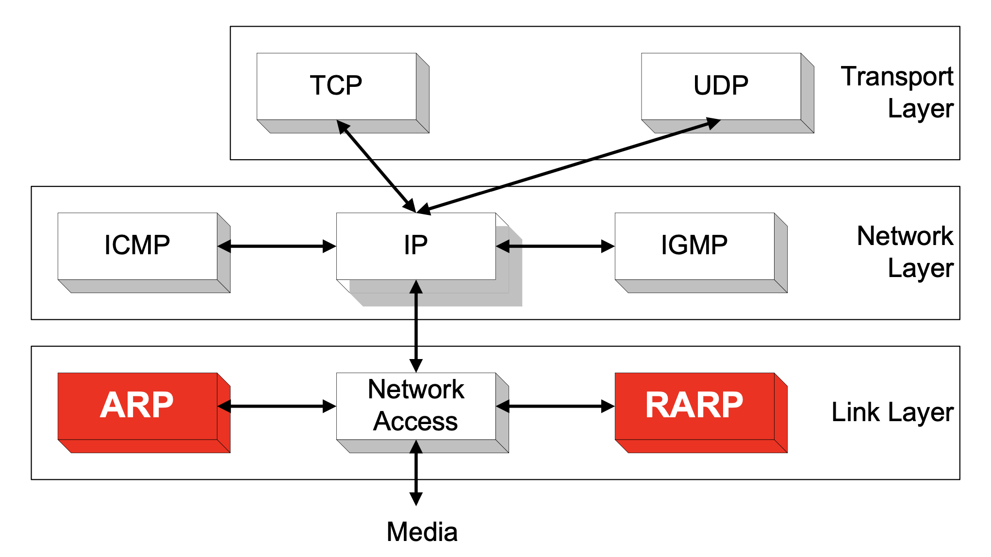 arp